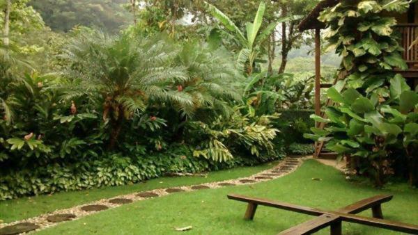 Quintal Da Mata Hotel กัมบูรี ภายนอก รูปภาพ